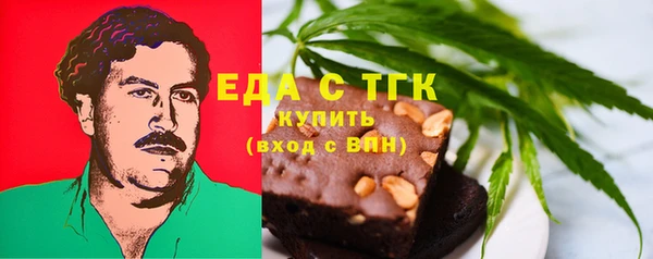 гидра Зеленодольск
