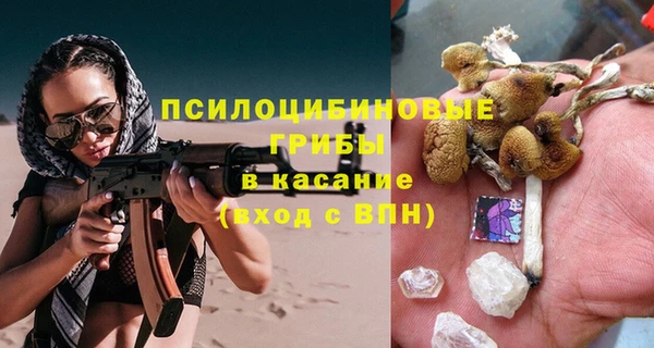 гидра Зеленодольск