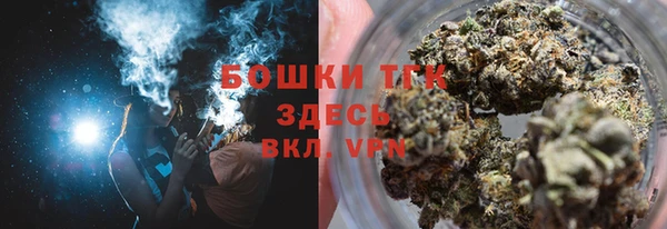 гидра Зеленодольск