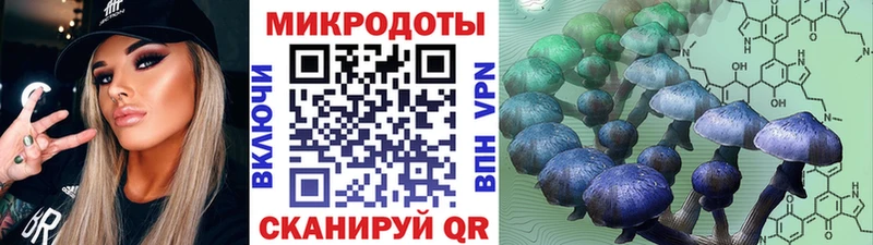 Купить  Навашино  Галлюциногенные грибы Psilocybe 